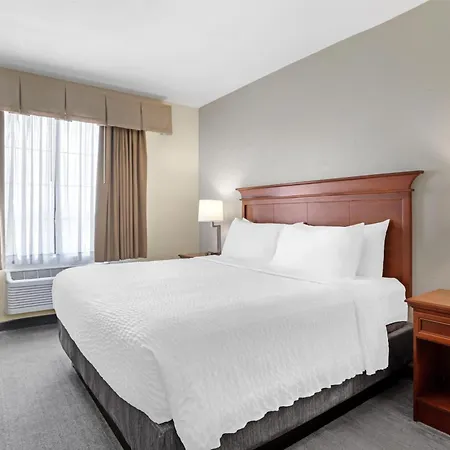 Best Western Plus Executive Hotel & Suites Sulphur Exterior photo